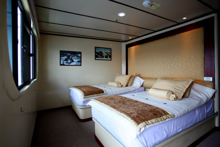 Tip Top II cabin